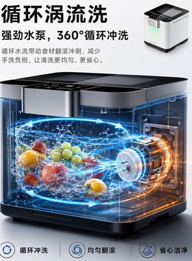 BLUECETI蓝力鲸超声波果蔬清洗机99.99%除菌13L大容量食材净化机