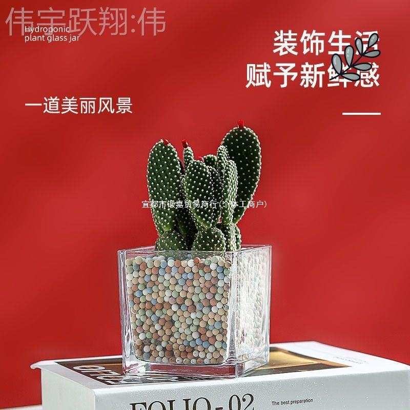 简约水培花盆正方形玻璃花瓶透明绿萝水养植物器皿乌龟缸摆件插花