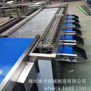 玉米直径分级机 小西红柿大小直径分选机 小番茄大小选果机