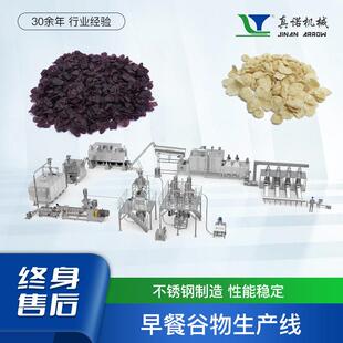 时产600-800kg玉米片焙烤干燥设备机械食品工厂优选烘焙机械