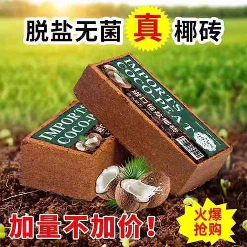 椰砖营养土椰土壤椰糠粗椰壳种花养花种菜种植大块耶砖