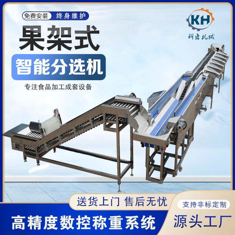 机械水果智能分选机橘子橙子柑橘类智能分选洋葱土豆重量分拣