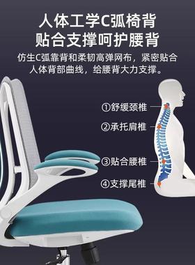 椅BGY040职员办公椅转移舒适久坐人体学电脑用宿舍靠背护腰家学工