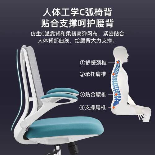 家学职员办BGY040公椅转移舒适久坐人体工电脑椅用宿舍靠背学护腰