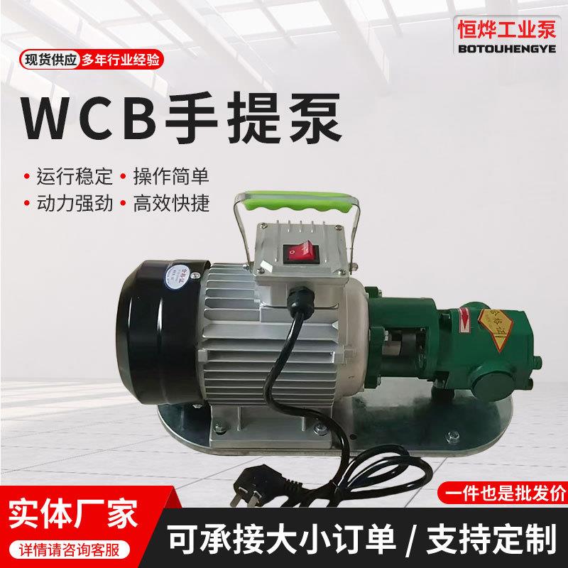 厂家大流量耐腐蚀食品用WCB30电动手提齿轮泵自吸抽油泵