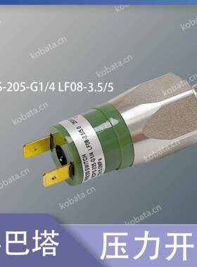 压力开关RDPS-205-G1/4 船用开关 LF08-3.5/5.0mpa