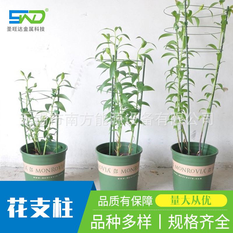 花支架园艺室内植物支撑生长爬藤架藤蔓花卉花盆支架花支柱