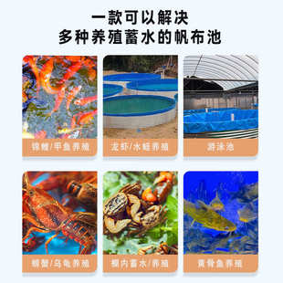 大型户外帆布水池蓄水池 镀锌板鱼池 高密度家用养殖加厚水池