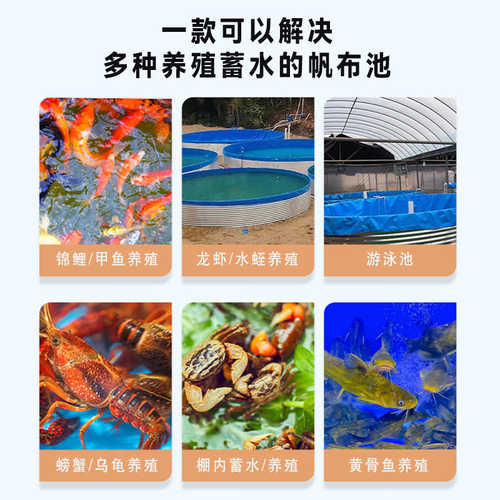 镀锌板鱼池 大型户外帆布水池蓄水池 高密度家用养殖加厚水池