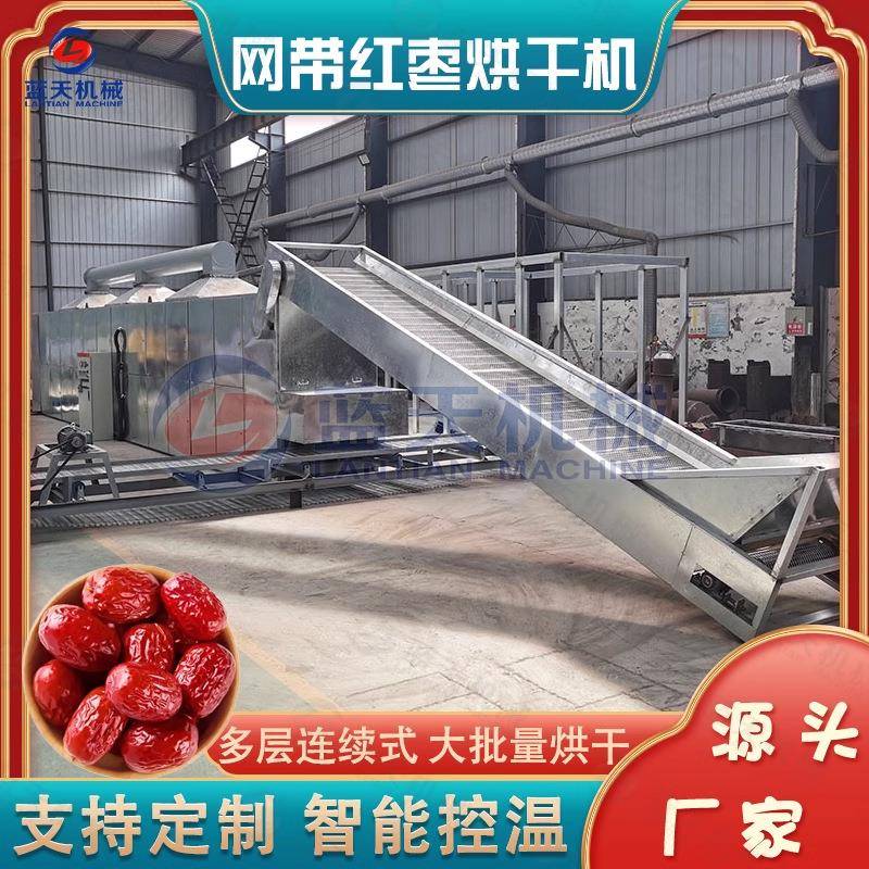 红枣网带烘干机网带式新疆大枣椰枣干燥机生物质颗粒枣子风干机