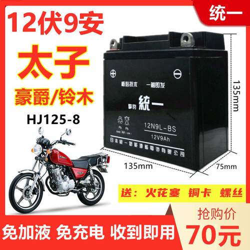 适用铃木GN太子HJ125-8男士机车擎豹统一免维护电池12V9A干 干电