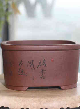 文正方形肉阳台菖蒲紫砂花盆盆景陆盆桌面盆景手工室内梅多微型