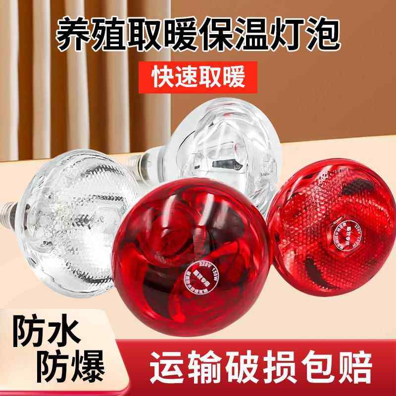 猪用保温灯养殖场专用畜牧养殖加热保温灯加厚仔猪保温灯泡兽用,畜牧/养殖物资,畜牧/养殖器械,淘宝优惠券,粉丝福利购,淘宝优惠卷