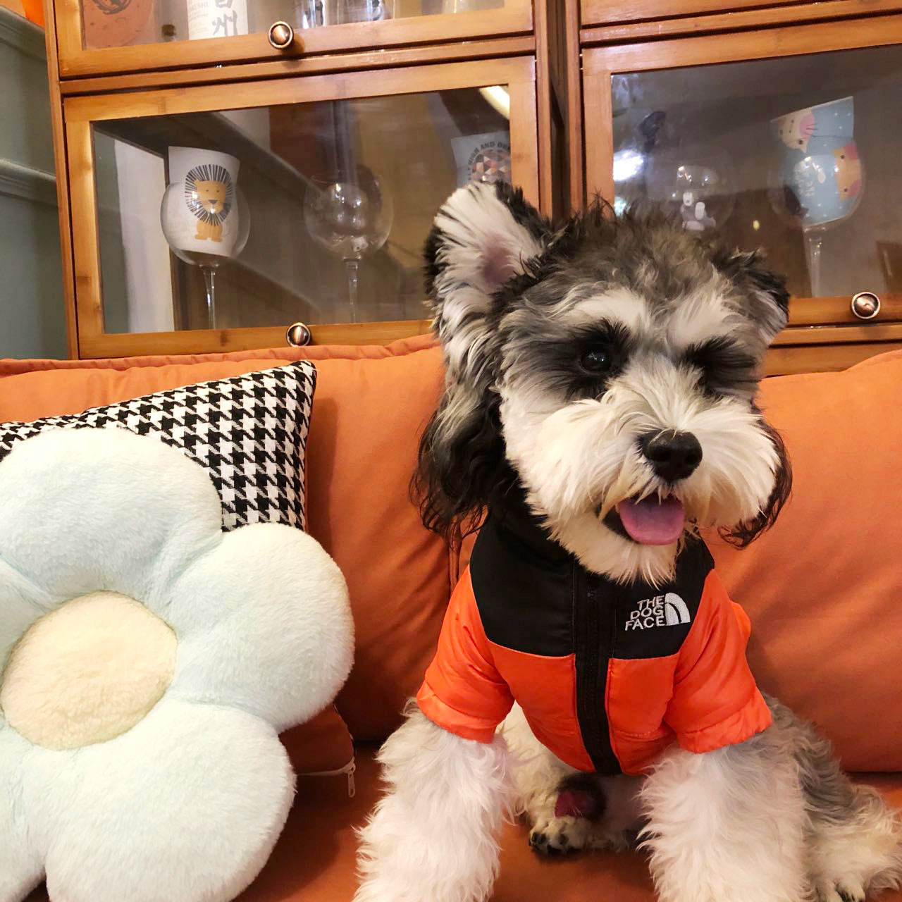 外贸狗狗衣服夹克保暖宠物雨衣