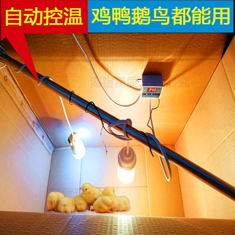 小鸡保温箱育雏箱自动控温灯恒温小鸟鸡鸭鹅鹌鹑养殖设备用保温箱,五金/工具,电热工具,淘宝优惠券,粉丝福利购,淘宝优惠卷