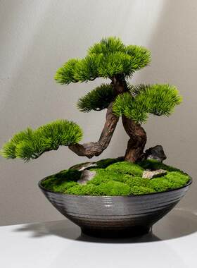 新中式禅意永生苔藓绿植盆景苏式家居装饰花客厅花架玄关花艺摆件