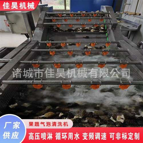 红辣椒全套生产线 山野菜清洗机气泡洗菜机全自动净菜清洗流水线
