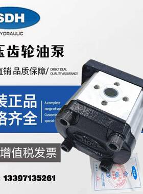 上海SDH大众CBTt-F304F3P7高压齿轮泵F310F3P7液压油泵头CBN-F306