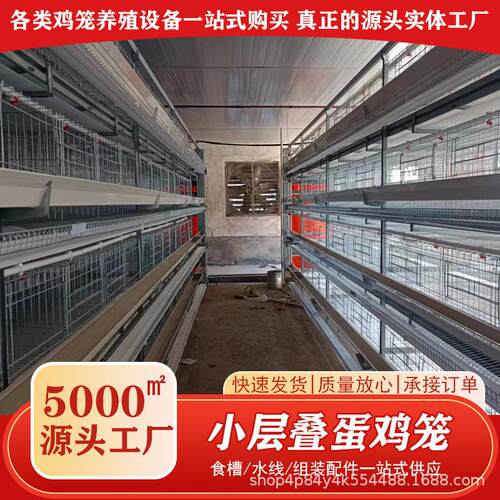 小层叠蛋鸡自动化畜牧养殖设备家禽经济型框架式热镀锌叠式养鸡笼