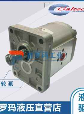 齿轮泵3SPA29D-10N 3SPA33D-10N高泰克Galtech意大利进口高压油泵