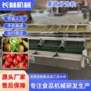 土豆萝卜分级机柑橘荔枝轨道式 分选 选果机青枣车厘子黄桃轨道式
