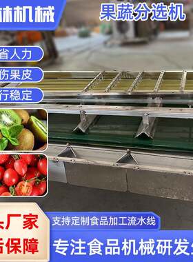 土豆萝卜分级机柑橘荔枝轨道式选果机青枣车厘子黄桃轨道式分选