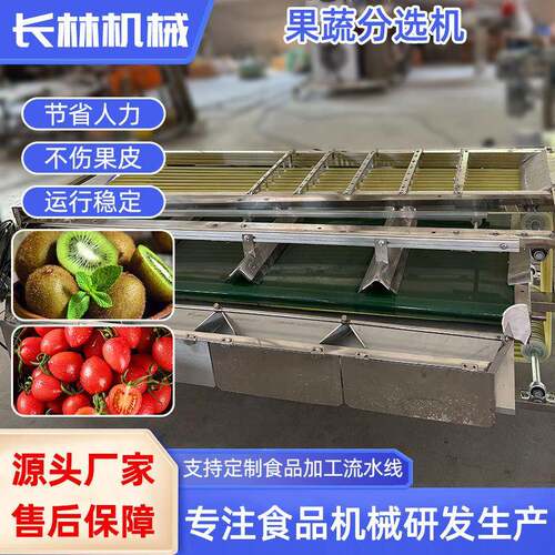 土豆萝卜分级机柑橘荔枝轨道式选果机青枣车厘子黄桃轨道式分选