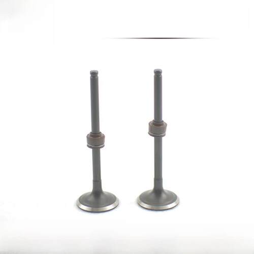 银钢尺寸迷你侧三轮拿铁怪物Ygf150/200摩托车进气和排气阀密封组