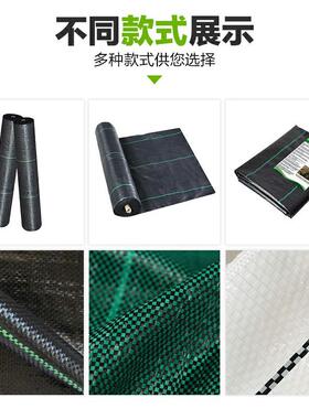 跨境爆款用防草农布果黑园专SEY用黑色园抗老化户外艺加厚地膜除