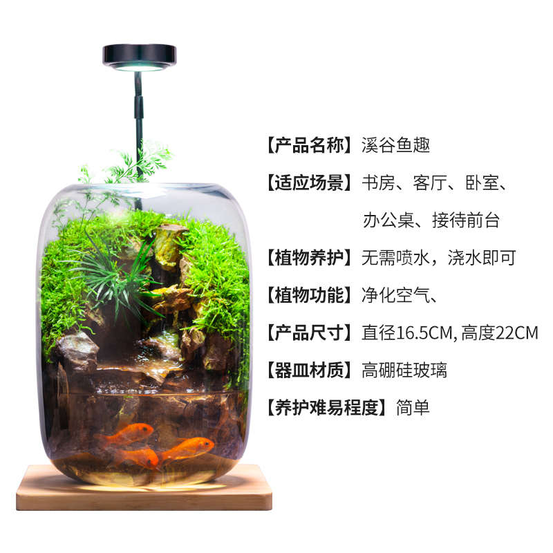 石上清泉流水款养鱼缸真植物苔藓微景观生态瓶办公室成品室内送礼
