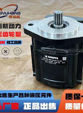 CASAPPA铸铁液压泵KP30.51B-A8K9-POF/OF-N-D-CSC高压油泵KP30 35