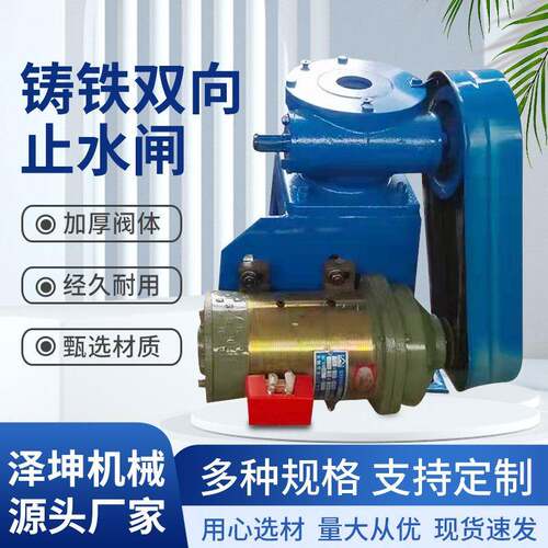 厂家供应铸铁闸门水利工程渠道双向止水闸门水库铸铁镶铜闸门