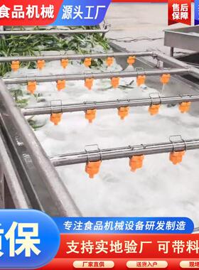 供应枸杞清洗机设备 全自动果蔬清洗机 不锈钢香菇清洗流水线