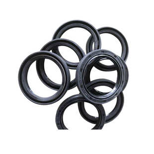 TC双唇骨架油封 丁腈氟胶橡胶圈双唇油封 橡胶密封圈密封件批发