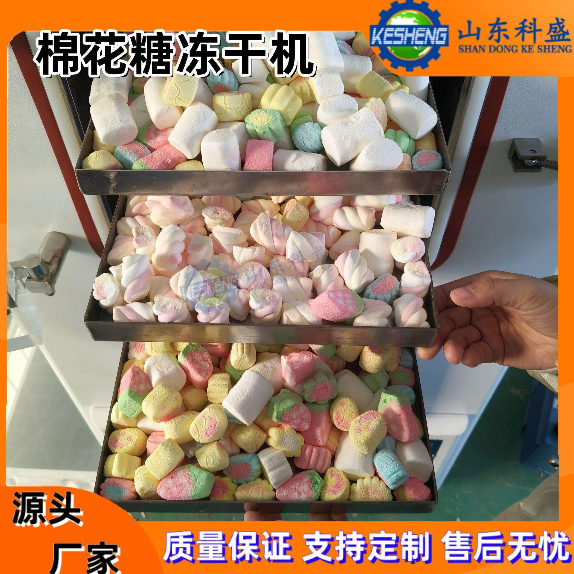 棉花糖冻干机 冻干彩虹糖 山药无花果山楂真空冷冻干燥机