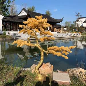 迎客松装饰绿植松树罗汉松雪松马尾松高端松木装饰软装室内装饰树