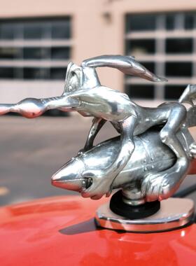 跨境Wile E Coyote 兜帽汽车爱好者的惊喜装饰摆件树脂车载摆件