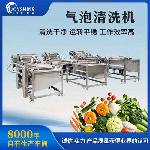 草莓樱桃清洗设备桑葚蓝莓气泡清洗机全自动水果清洗机