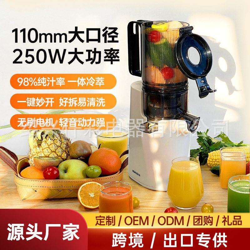 跨境冰淇淋机家用电动原汁机榨汁机定量混合果汁机蔬菜汁