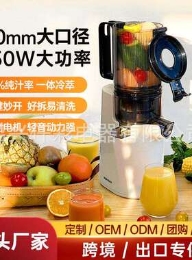 跨境冰淇淋机家用电动原汁机榨汁机定量混合果汁机蔬菜汁