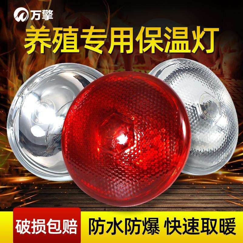 保温灯养殖场专用小鸡育雏取暖灯养猪场用保暖灯烤灯加热取暖灯泡