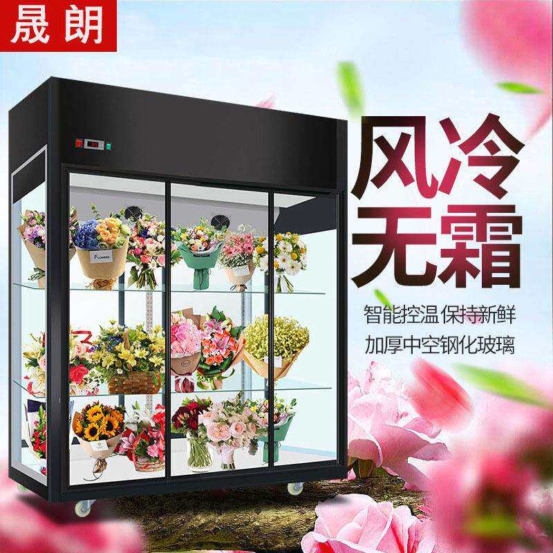 晟朗展示柜冷藏保鲜立式冰柜商用双门超市水果啤酒风冷冰箱饮料柜