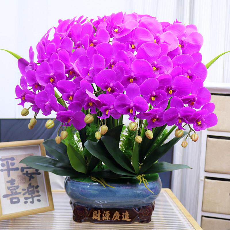 特大号彷真花保湿手感PU蝴蝶兰客厅装饰花电视柜玄关假花酒柜摆件