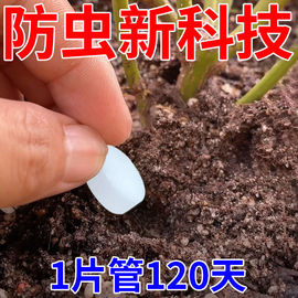 款花卉绿植通用药防虫杀虫小黑飞小飞虫蚜虫白粉虱红蜘蛛