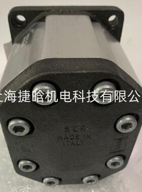 意大利ATOS阿托斯PFG-327-D-HTPFG-327-D-RO电厂用齿轮泵