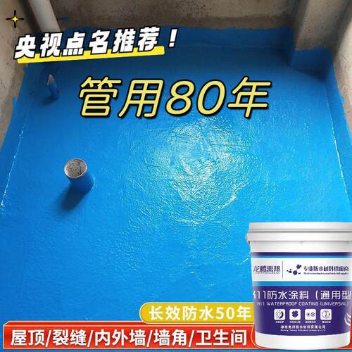 防水涂料卫生间屋顶室内外墙阳台厨房鱼池水池蓝色JS柔性防水材料