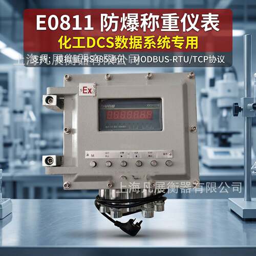 优E0811防爆称重地磅量程1吨2吨吨（RS485/4-20mA/开关量等）