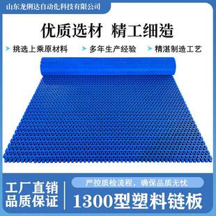 1300型节距25.4mmPP纸板食品化工膨化蔬菜流水线输送网带链板POM