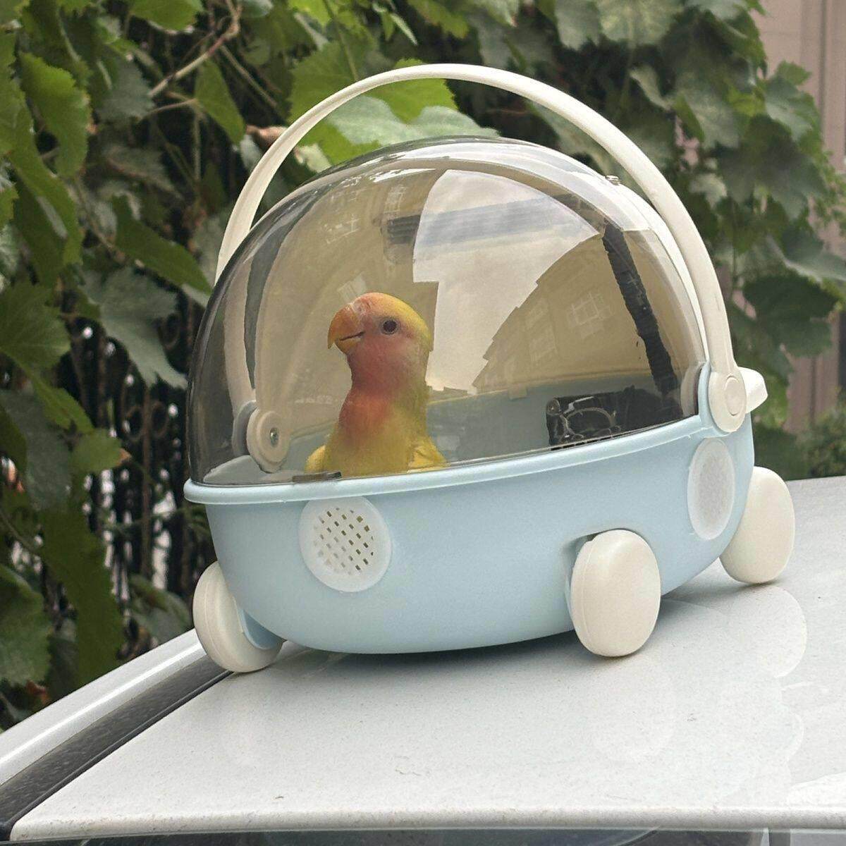 幼鸟保温箱鹦鹉饲养箱专用孵蛋鸟笼子四季育雏恒温牡丹玄凤繁育箱