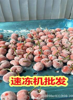 大型氟利昂速冻机小型虾仁冷冻加工设备多功能冷冻机